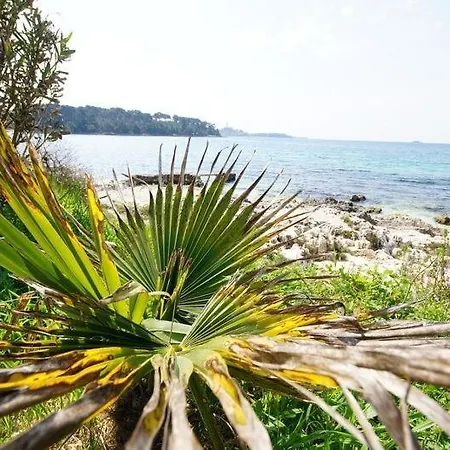 In With A Sea View, Balcony, Air Conditioning, Wifi 81-2 Rovinj
