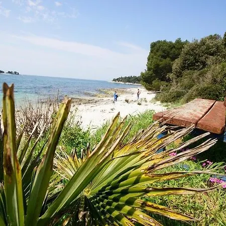 In With A Sea View, Balcony, Air Conditioning, Wifi 81-2 * Rovinj